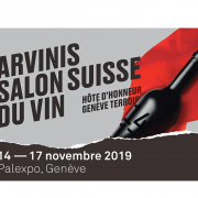 Salon Arvinis à Genève pour agenda de 3D Swiss View à Martigny, leader de la visite virtuelle 3D, 360° et Immersive en Suisse